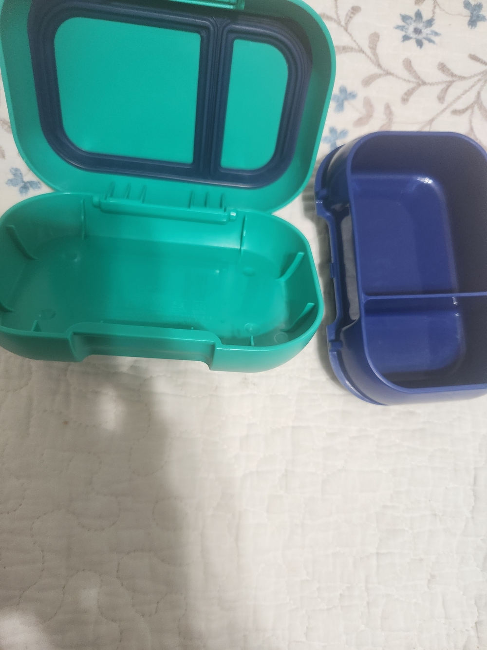 Bengo Snack Box - Picture 4 of 5